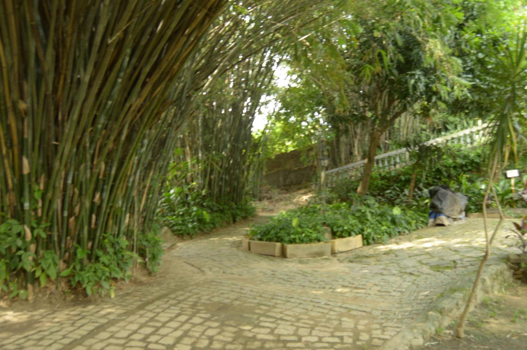 Rio Natureza Adaptado Apart 101 Río de Janeiro Exterior foto